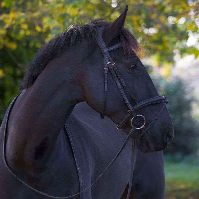 EcoRider Rose Gold Ecolux Bridle - Black